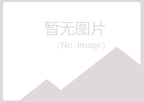 乌海紫山采矿有限公司